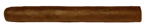 Corona Maduro